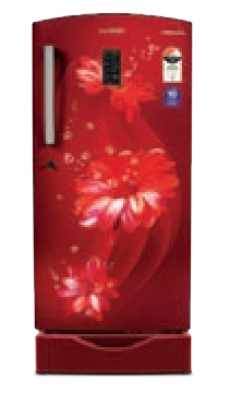 Direct Cool Refrigerator Color: Daisy Wine Star Rating: 3 Star GLDC243SDWT2GC – 216 L