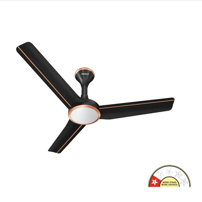 Trinity Under Light Ceilin