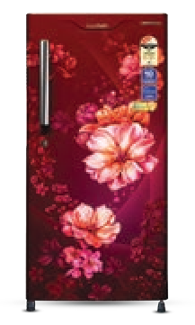 Direct Cool Refrigerator Color: Cherry Blossom Wine Star Rating: 3 Star GLDC203SCWT2LC – 188 L